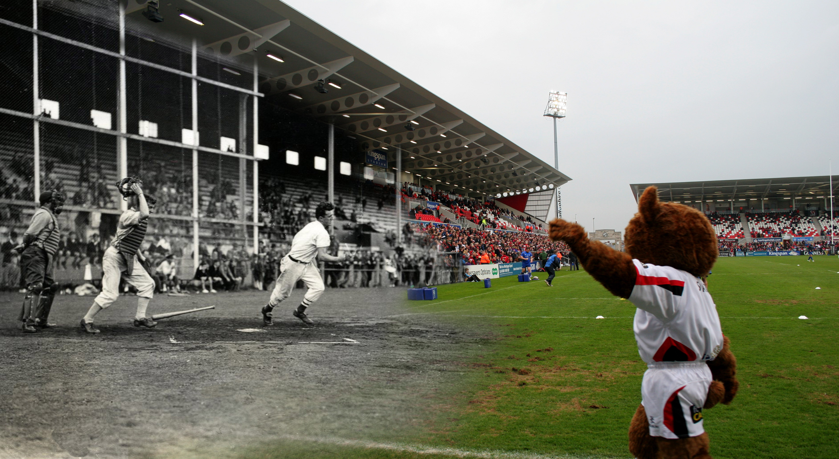 Picture of Kingspan Stadium
